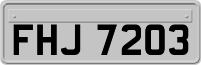 FHJ7203