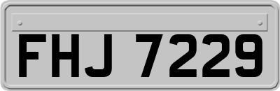 FHJ7229