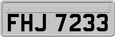 FHJ7233