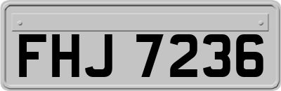 FHJ7236