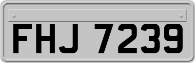 FHJ7239