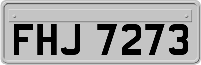 FHJ7273