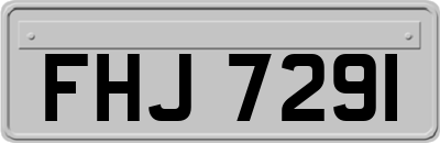 FHJ7291