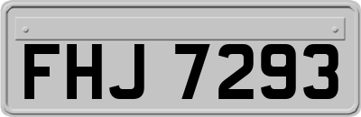 FHJ7293
