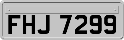 FHJ7299