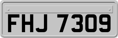 FHJ7309