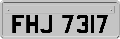 FHJ7317