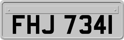 FHJ7341
