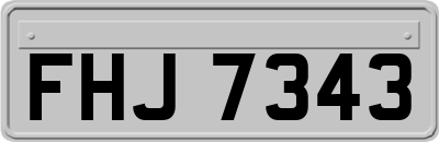 FHJ7343