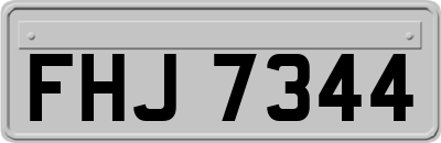 FHJ7344