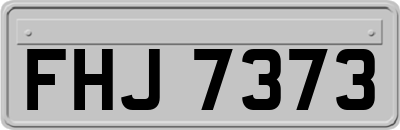 FHJ7373