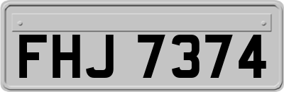 FHJ7374