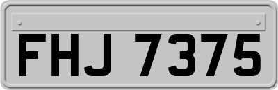 FHJ7375
