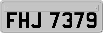 FHJ7379