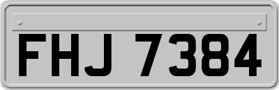 FHJ7384