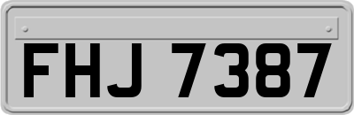 FHJ7387