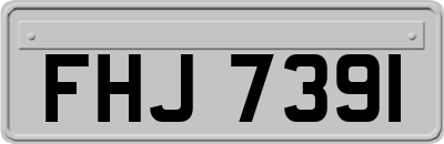FHJ7391