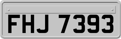 FHJ7393