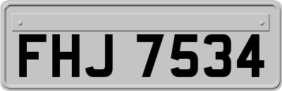 FHJ7534