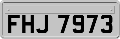 FHJ7973