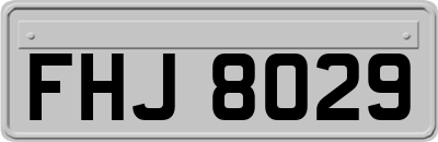 FHJ8029