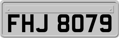 FHJ8079
