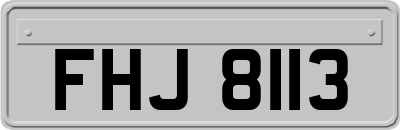 FHJ8113