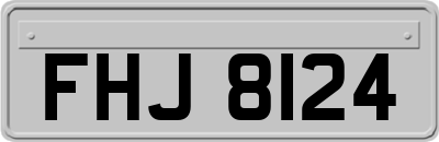 FHJ8124