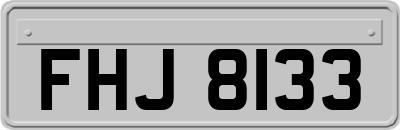 FHJ8133