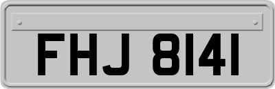 FHJ8141