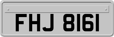 FHJ8161