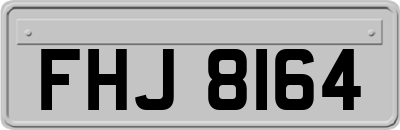 FHJ8164