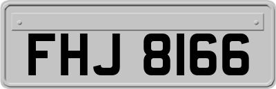 FHJ8166
