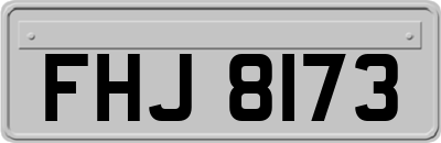 FHJ8173