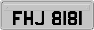 FHJ8181