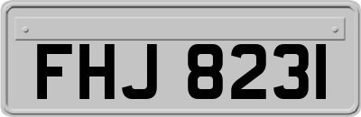 FHJ8231