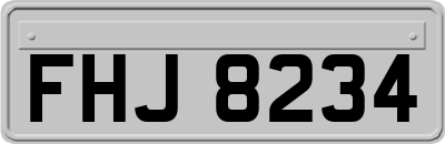 FHJ8234