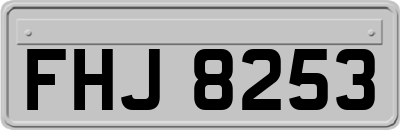 FHJ8253