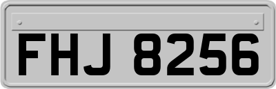 FHJ8256