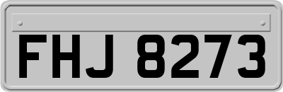 FHJ8273