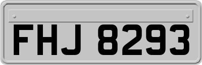 FHJ8293