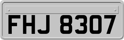 FHJ8307