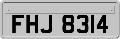 FHJ8314