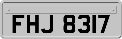 FHJ8317