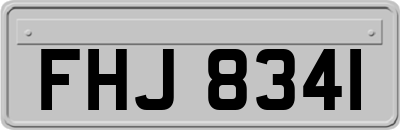 FHJ8341