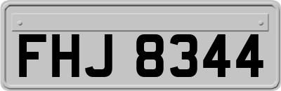 FHJ8344