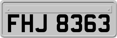 FHJ8363