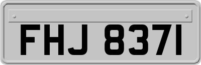 FHJ8371