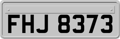 FHJ8373
