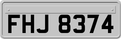 FHJ8374